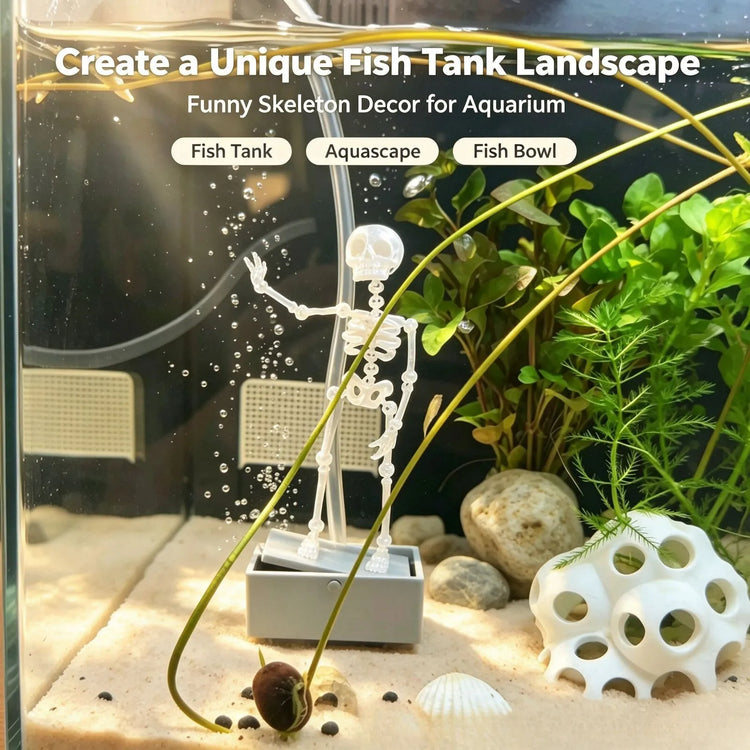 Dancing Aquarium Guy – Bring Your Fish Tank to Life!