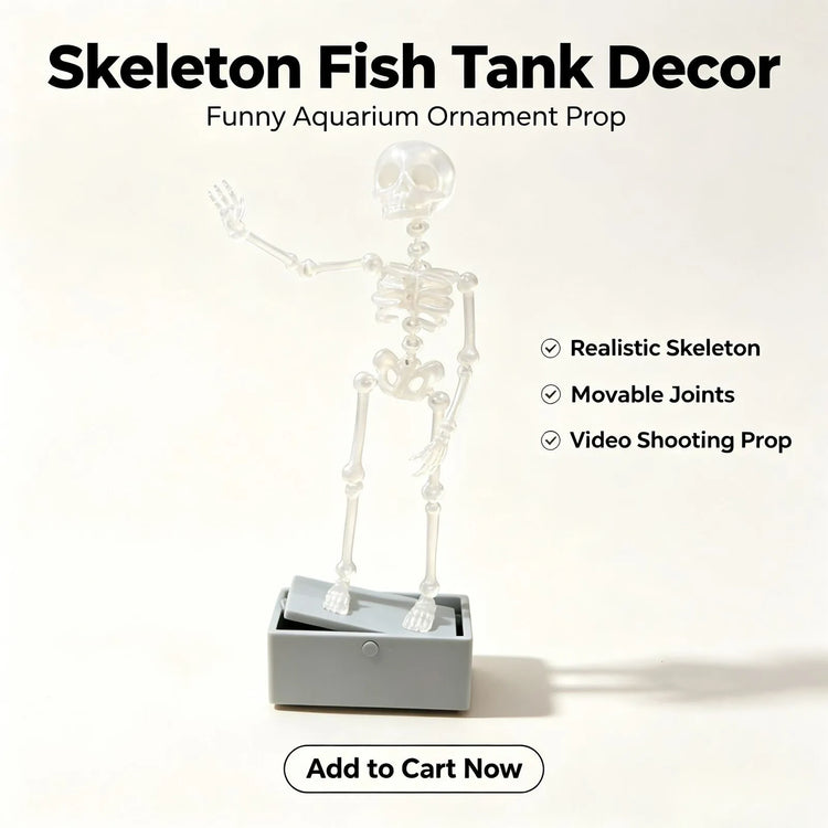 Dancing Aquarium Guy – Bring Your Fish Tank to Life!
