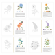 Watercolor discovery · 6 workbooks